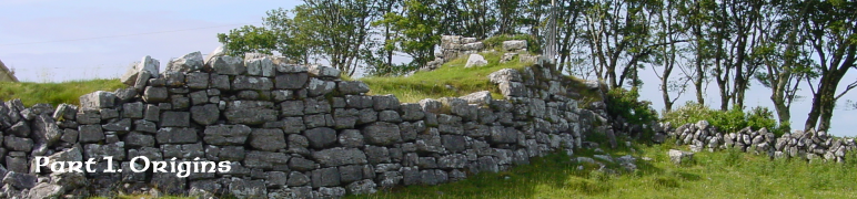 Davoren family origins Cahermcnaughten Count Clare