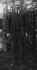 James_Davoren.JPG (55983 bytes)